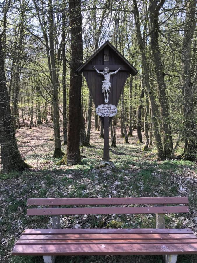 Pension-Ferienwohnung Liesbachtal Direkt Am Waldrand Bayerische Rhoen Schönau an der Brend Εξωτερικό φωτογραφία