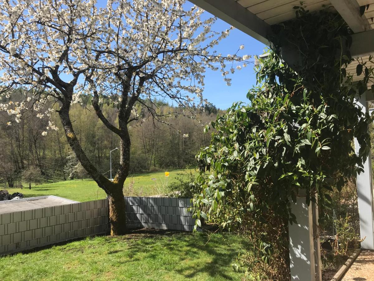 Pension-Ferienwohnung Liesbachtal Direkt Am Waldrand Bayerische Rhoen Schönau an der Brend Εξωτερικό φωτογραφία