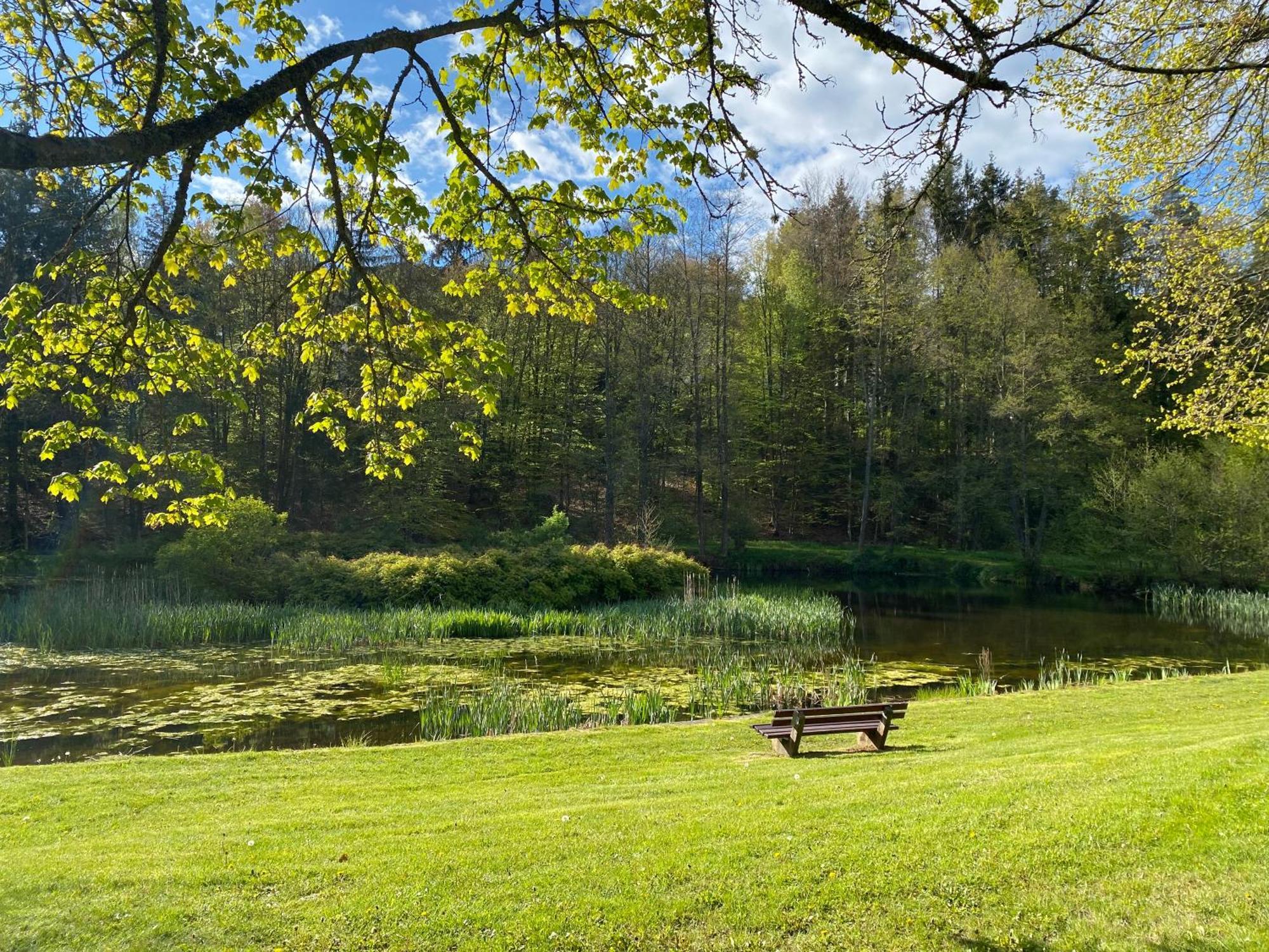 Pension-Ferienwohnung Liesbachtal Direkt Am Waldrand Bayerische Rhoen Schönau an der Brend Εξωτερικό φωτογραφία