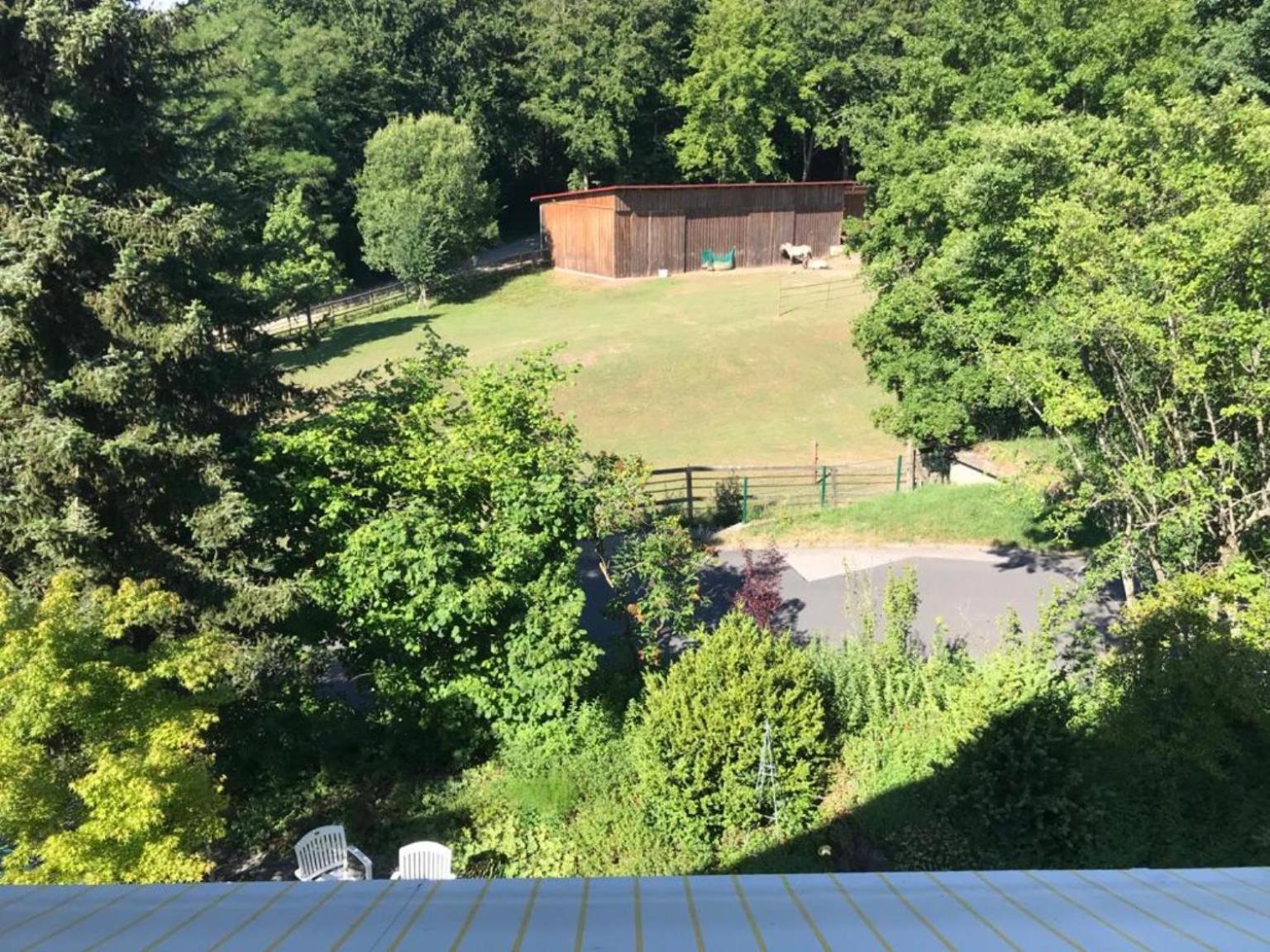 Pension-Ferienwohnung Liesbachtal Direkt Am Waldrand Bayerische Rhoen Schönau an der Brend Δωμάτιο φωτογραφία