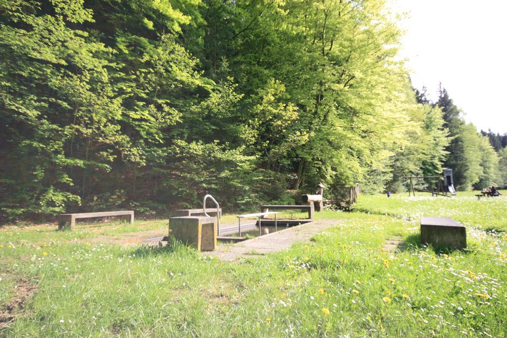 Pension-Ferienwohnung Liesbachtal Direkt Am Waldrand Bayerische Rhoen Schönau an der Brend Εξωτερικό φωτογραφία