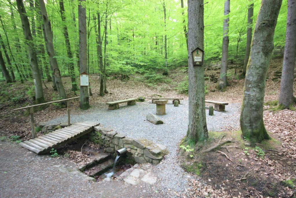 Pension-Ferienwohnung Liesbachtal Direkt Am Waldrand Bayerische Rhoen Schönau an der Brend Εξωτερικό φωτογραφία