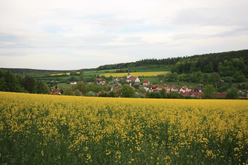 Pension-Ferienwohnung Liesbachtal Direkt Am Waldrand Bayerische Rhoen Schönau an der Brend Εξωτερικό φωτογραφία